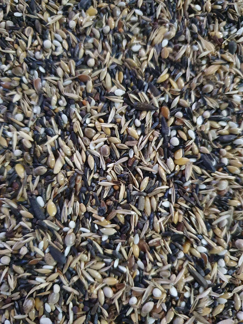Jilgueros extra 5kg (20% semillas BLATTNER) - Versele Laga