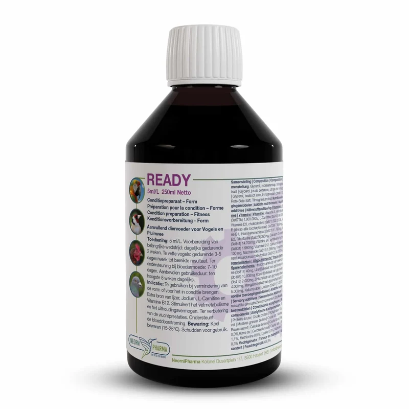 Ready 250ml (Aumento de energía adicional, vitamina B12, L-Carnitina) - Neornipharma