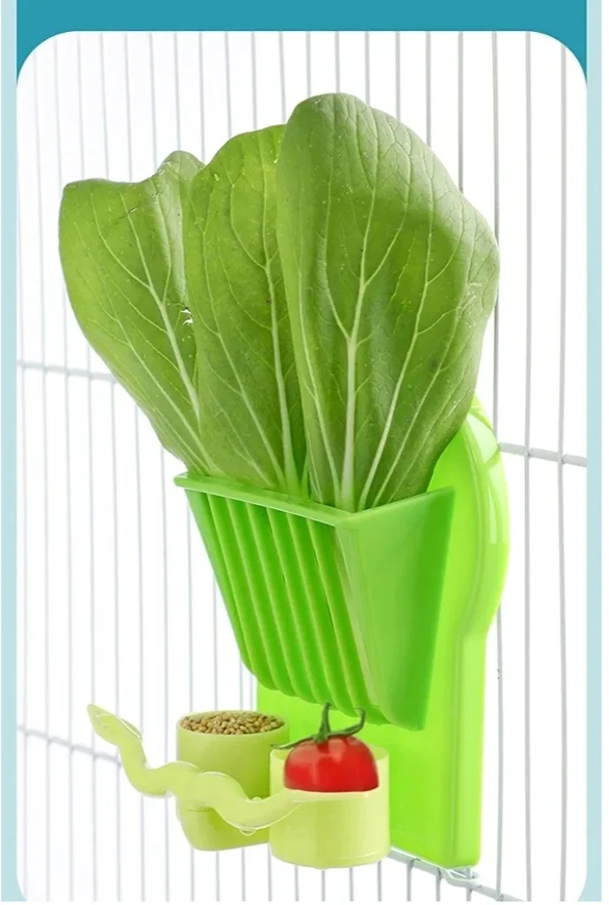 comedero de frutas