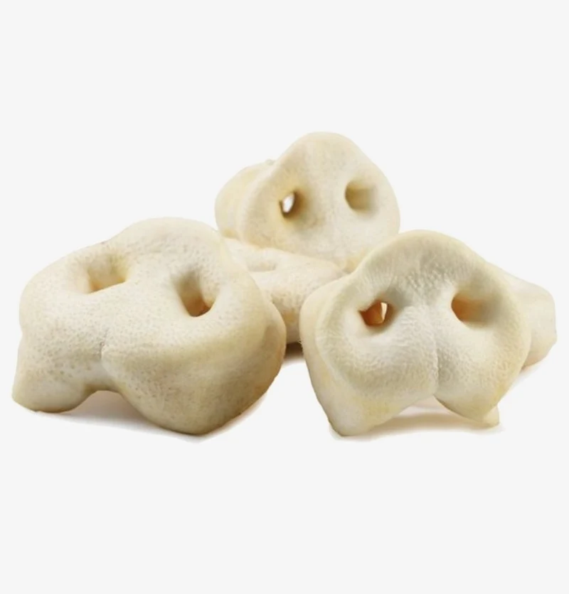Nariz de Cerdo Inflada con Miel - Snack para Perros - 1 Pieza