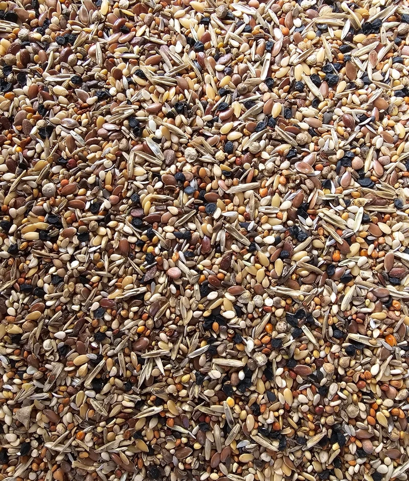 Semillas saludables (semillas silvestres) - Versele Laga 5kg