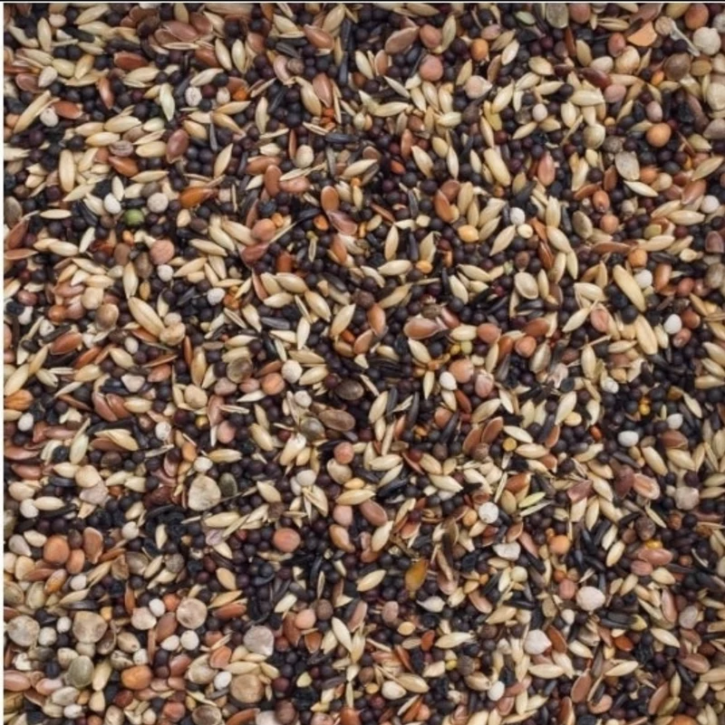 Deli Nature 99 Pájaros Europeos Básico 1kg
