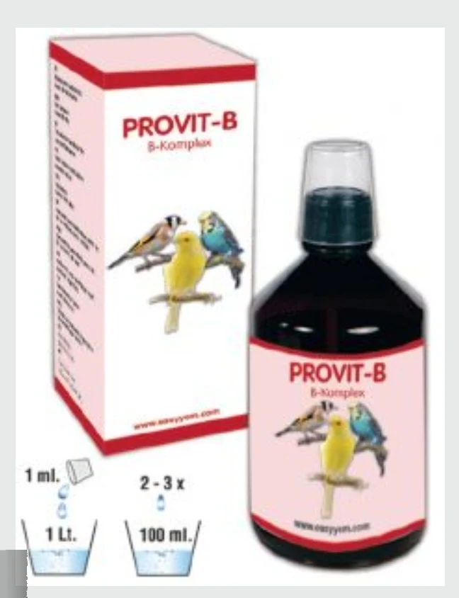 Easyyem Provit-B 250ml