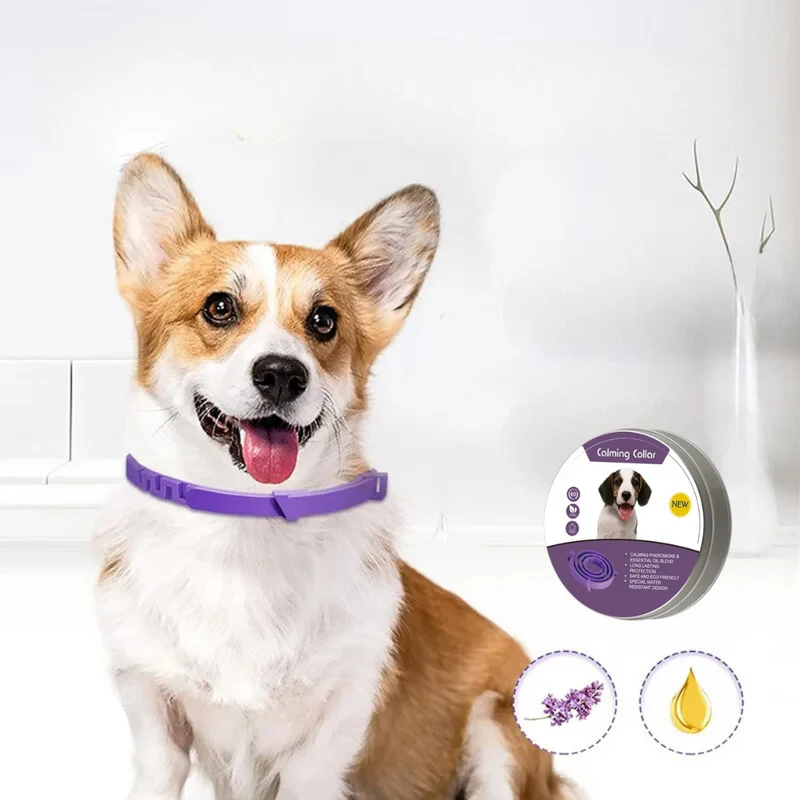 Soothing Anti-Stress Pet Collar — Gentle Comfort and Natural Pheromones