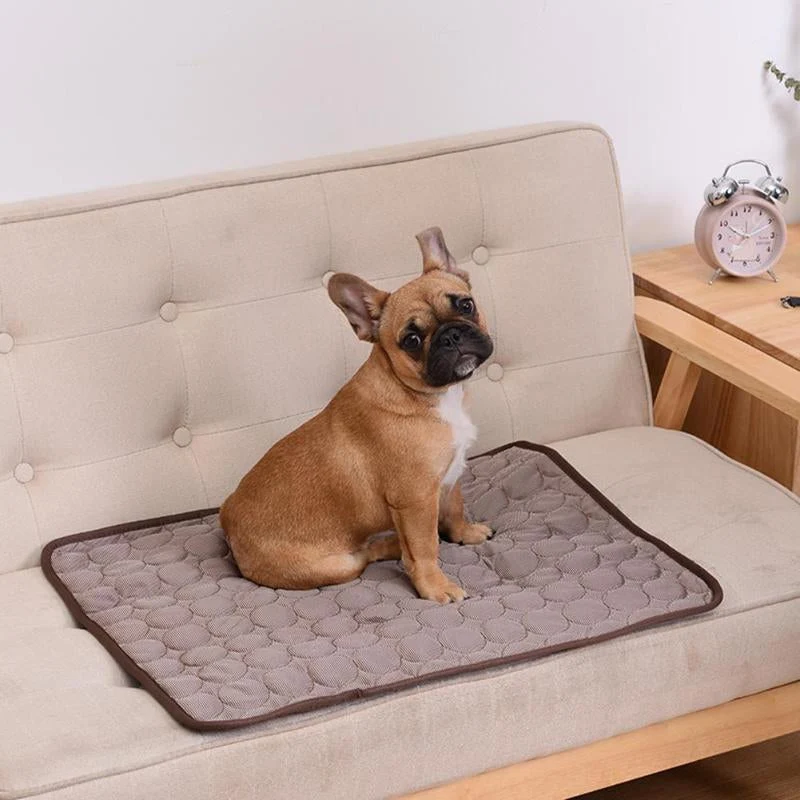 Comfortable Summer Cooling Mat for Pets
