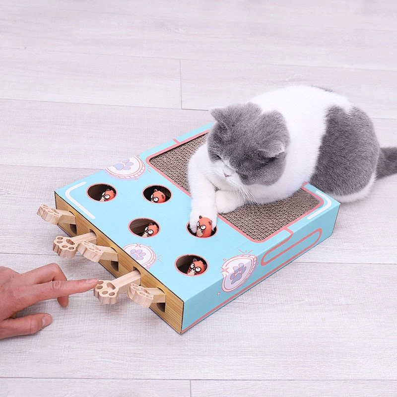 Interactive Activity Box for Cats