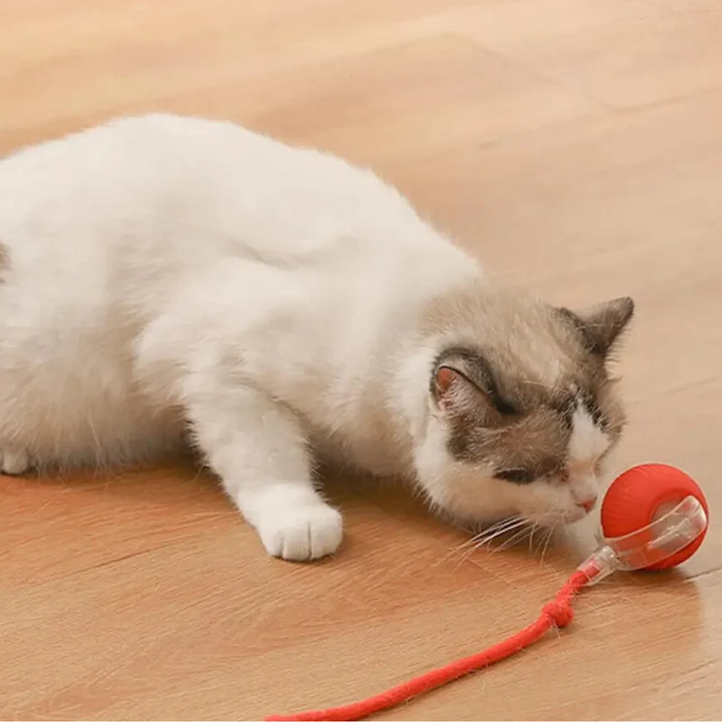 Clever Moving Ball with Tail for Cats
