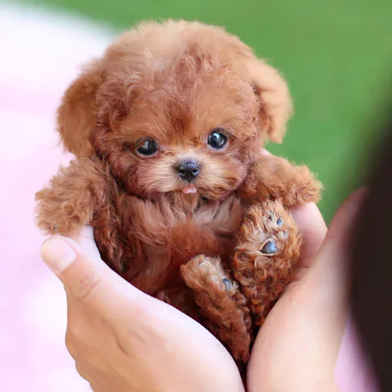 Cute Moving Puppy Toy with Sounds