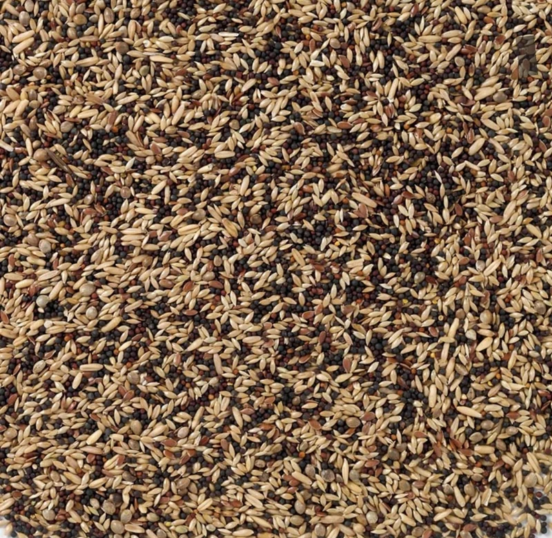 Deli Nature 50 Canarias Basic 500 gramos
