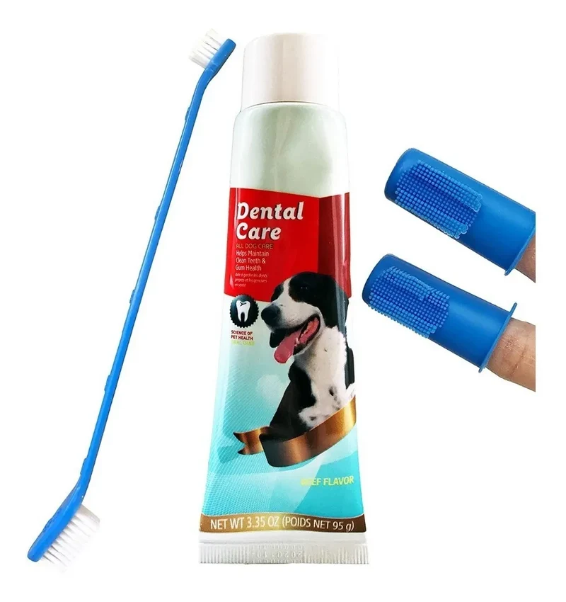 KIT ASEO DENTAL