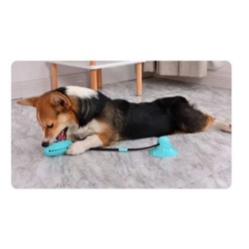 Juguete Mordedor Para Perro Multifuncional