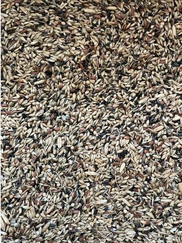 Mezcla de calidad King Canary sin colza 5 kg