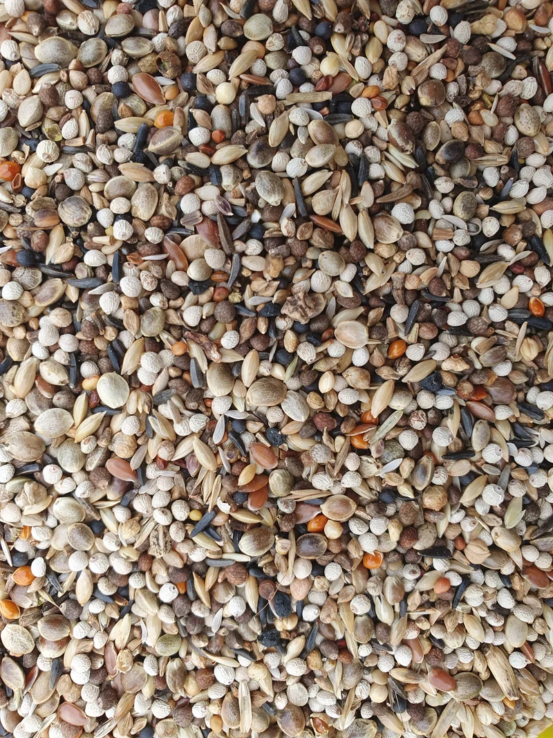 Jilgueros Super RE 1kg - Hobbyfarm Hoebregts