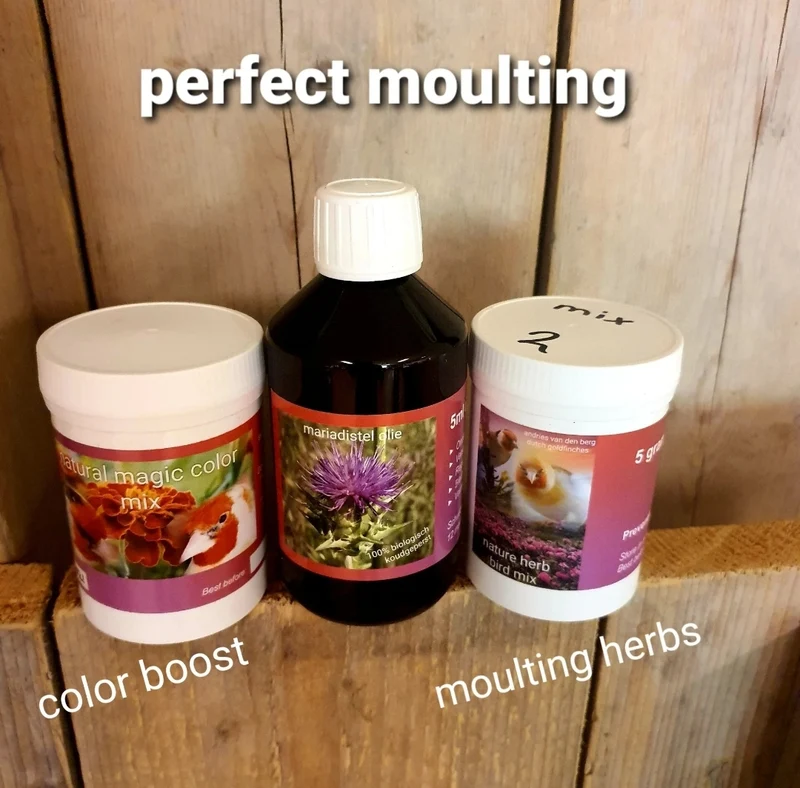 Perfect Moulting - Mezcla de hierbas y pájaros