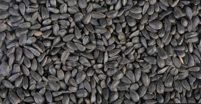 Semillas de girasol negras 1kg