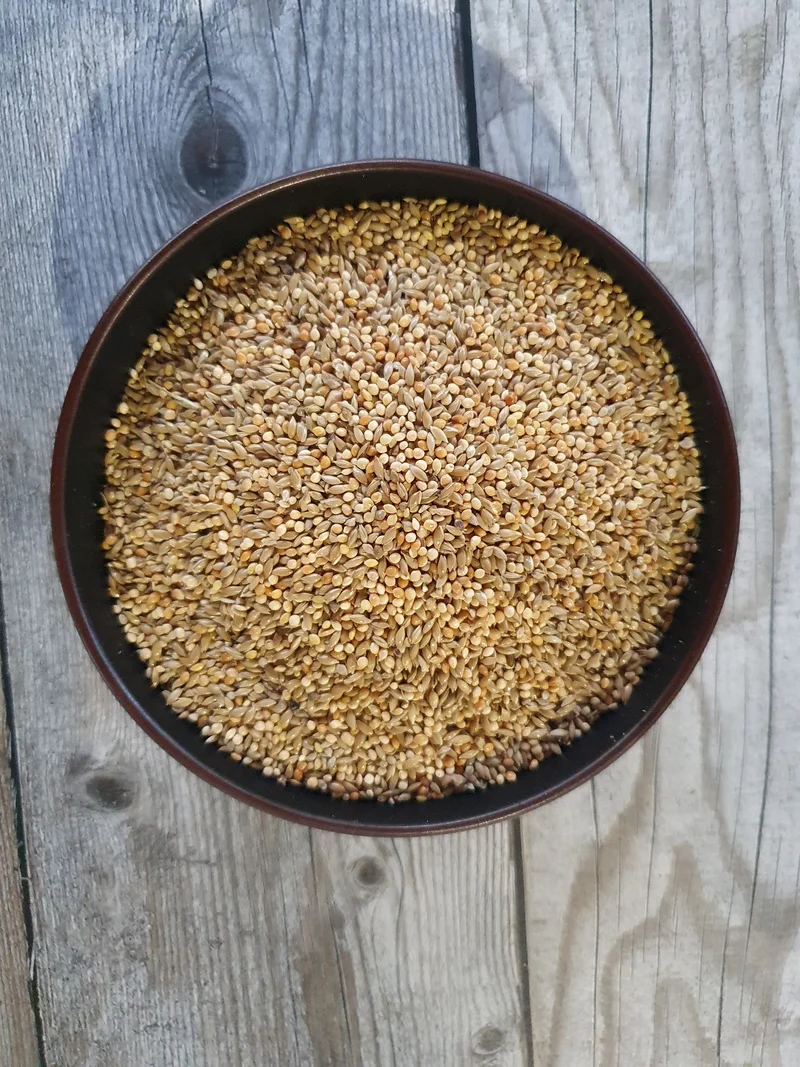 Exóticos Michotte Goulds 20kg - Hobbyfarm Hoebregts