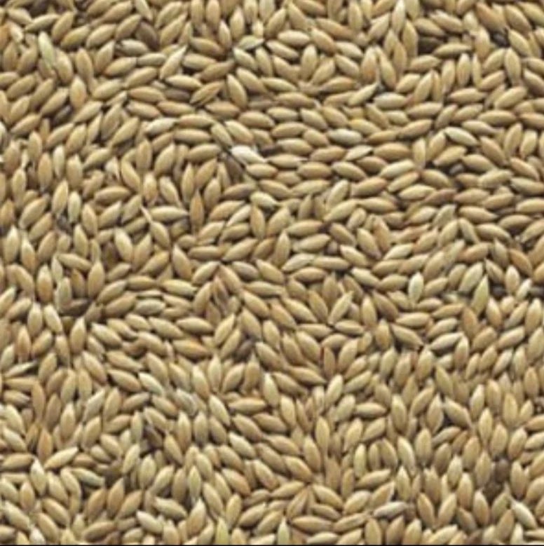 Semilla blanca (semilla plana o alpiste) 20kg
