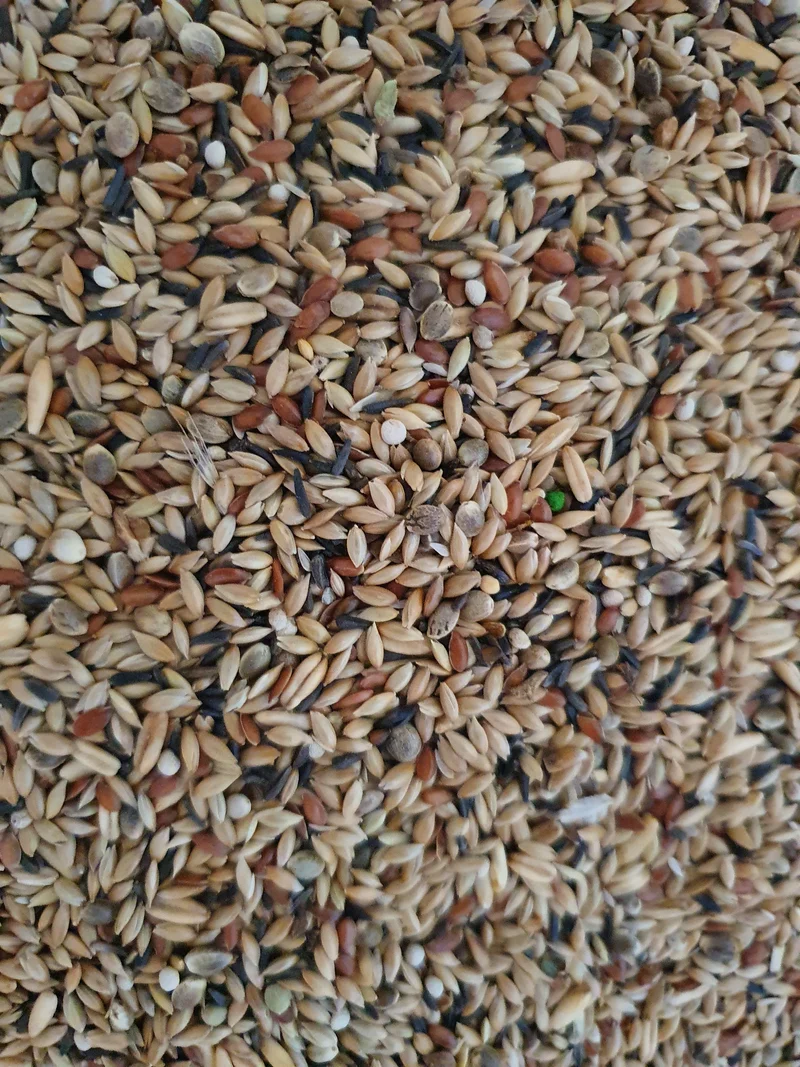 Canary Supreme con perilla blanca - 5 kg triturados - Alimento para pájaros