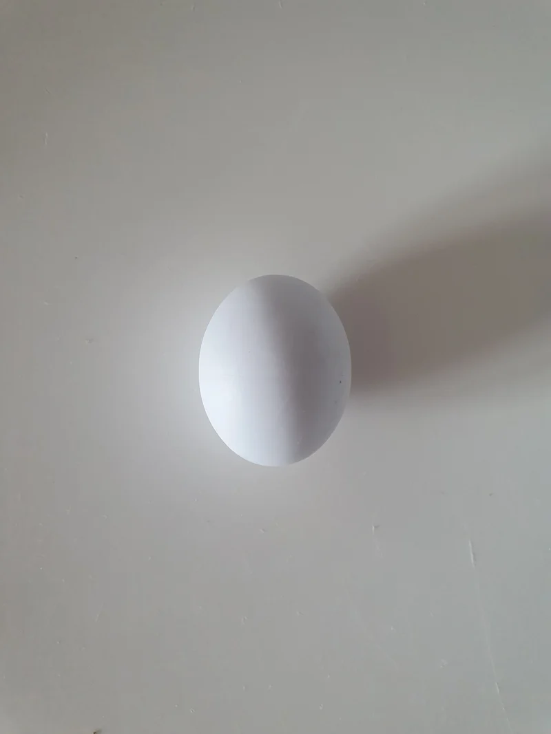 Huevo plastico periquitos grandes 3cm
