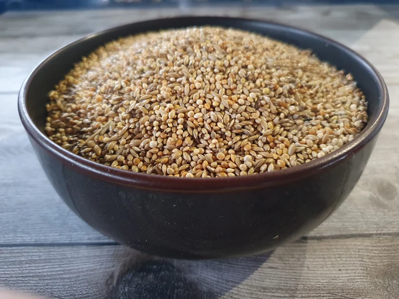 Exóticos Michotte Goulds 5 kg (empaquetado usted mismo)