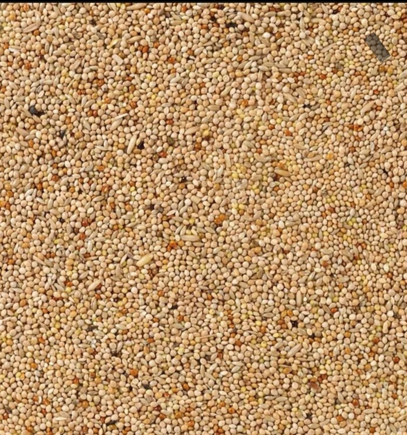 Deli Nature 51 Periquitos Básico 5kg (autoenvasado)