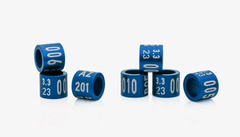 Anillos anuales cerrados 2023 - 7.0 mm