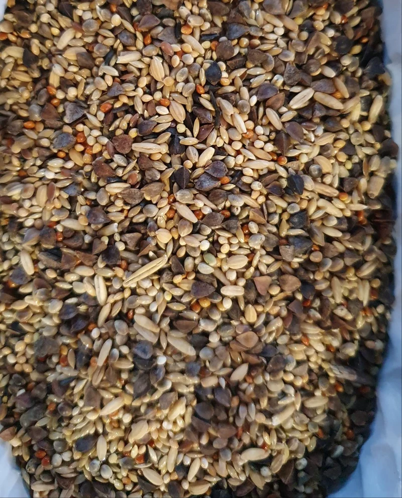 Deli Nature 71 Premium Agapornis 5kg (envasado por uno mismo)