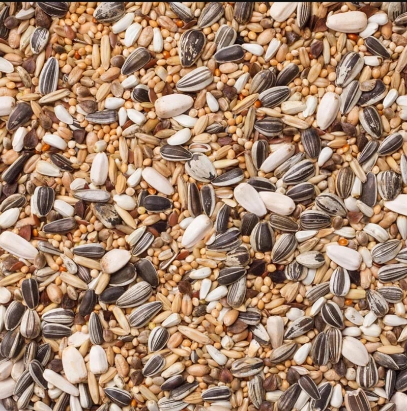 Deli Nature 30 Periquitos Grandes Basic 1kg