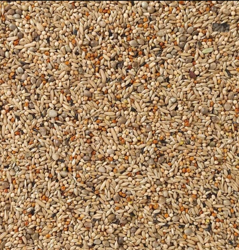 No. 67 Deli Nature Raza Periquito 5kg (empaquetado usted mismo)