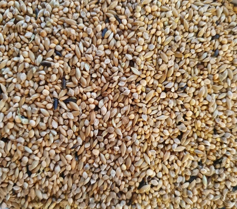 Deli Nature 42 Pinzón Cebra Supremo 5kg (envasado por uno mismo)