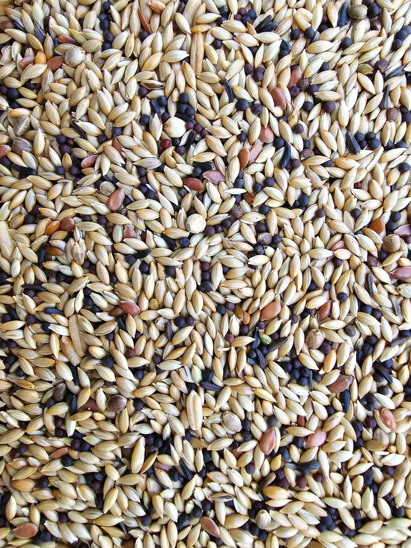 Deli Nature 55 - Kanarie Suprema - 5kg