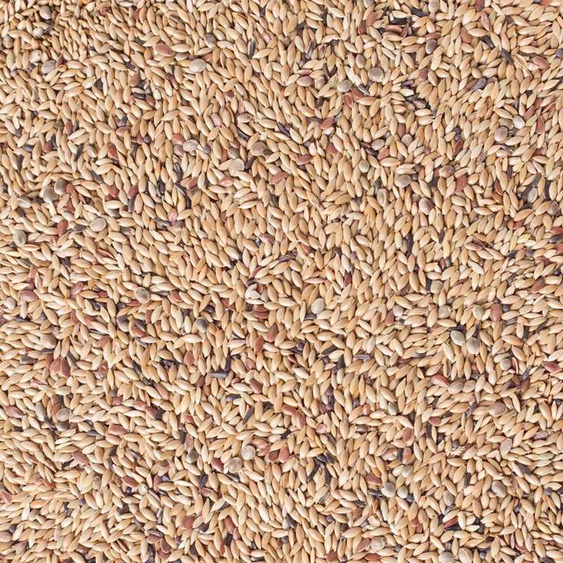 Deli Nature 81 Canary Light Sin Colza 5kg (envasado por uno mismo)