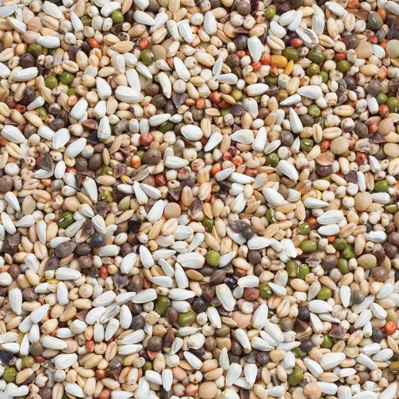 Deli Nature 33 Germen de Periquito y Loro Grande 5kg