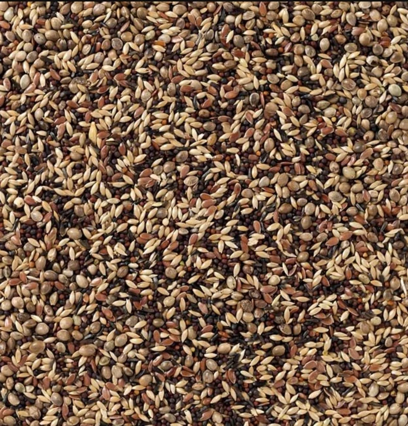Deli Nature 48 Jilgueros y Jilgueros 5kg