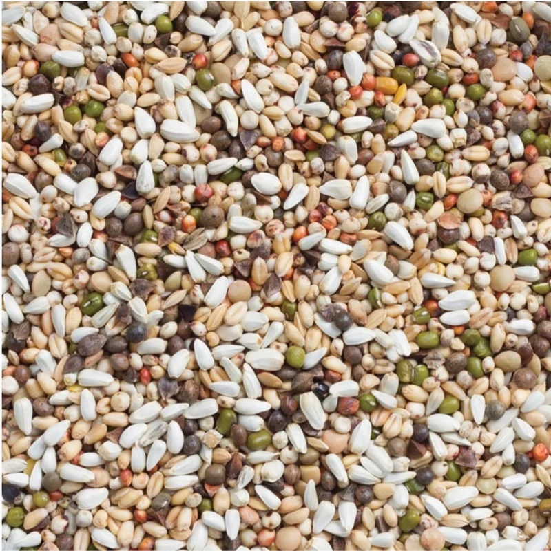 Deli Nature 33 Germen de Periquito y Loro Grande 15kg