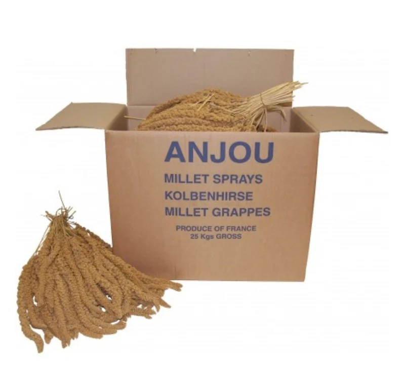 Spray Mijo Amarillo Francia Caja 25kg