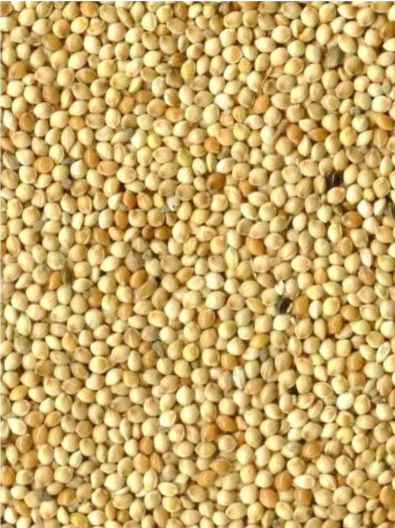 Blanco de semilla redonda (mijo) 20kg