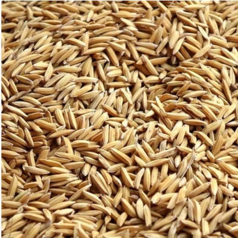 Palomas Arrozales 20kg | Duvo+