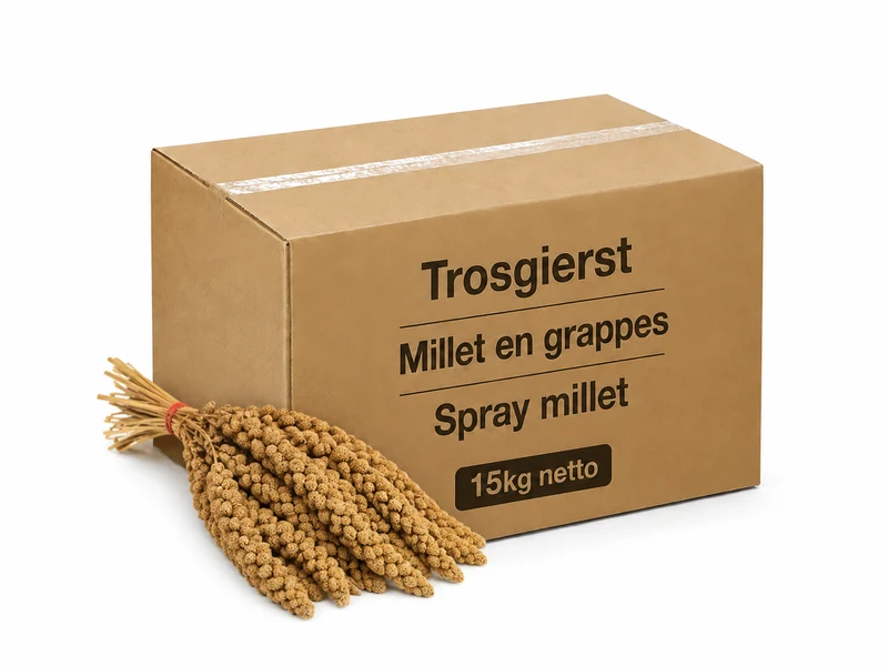 Spray Mijo Amarillo China Caja 15kg