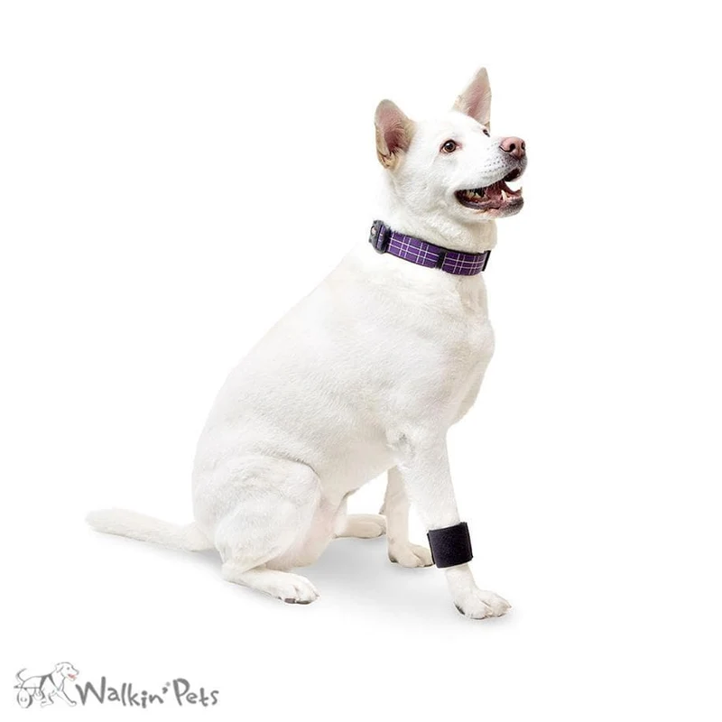 Walkin' Wrist Wrap de Walkin' Pets