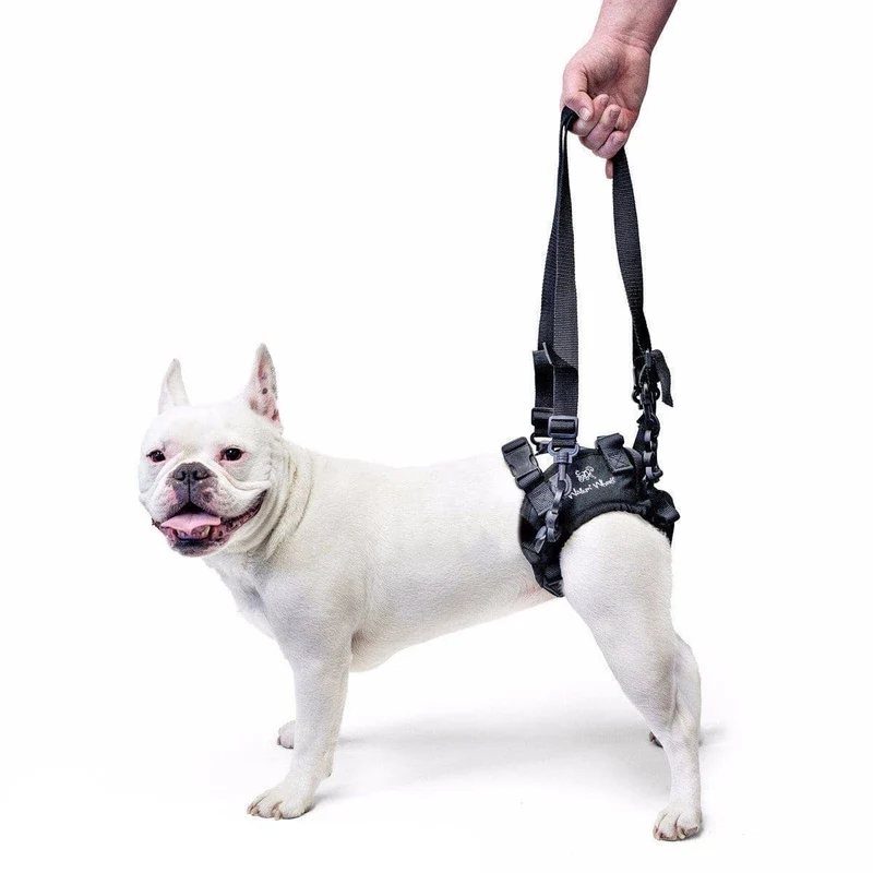 Arnes para Soporte trasero Para Perro Walkin' Lift Rear Harness: de Walkin' Pets