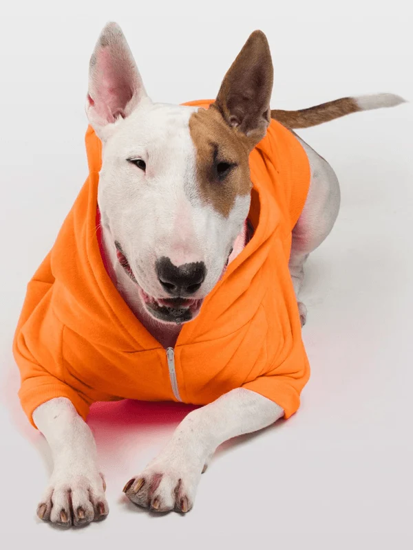 Hoodie Para Perro en Color Naranja Neon