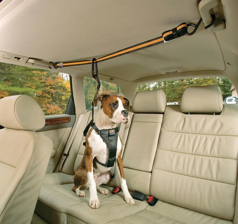 Línea de Cinturón De Seguridad Para Perros para el Carro - Kurgo® Auto Zip Line