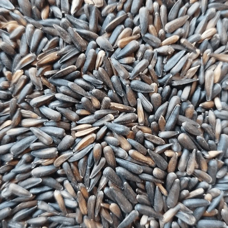 Semillas de Girasol Negras Micro 1kg