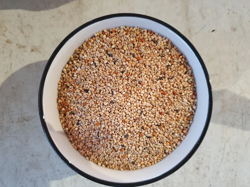 Aves Exóticas Bird-X 1kg