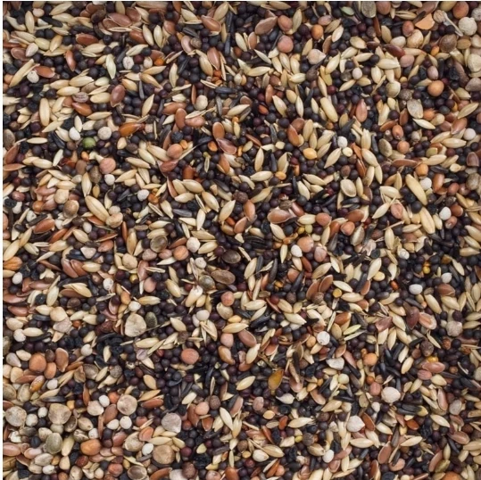 Deli Nature 99 Pájaros Europeos Básico 2,5kg