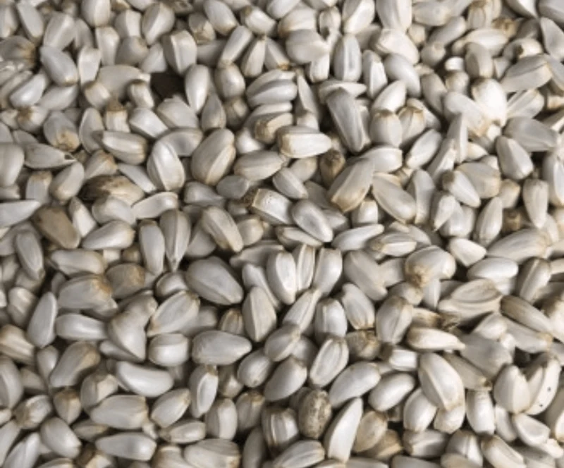 Cardi 1kg (Semillas de cártamo)