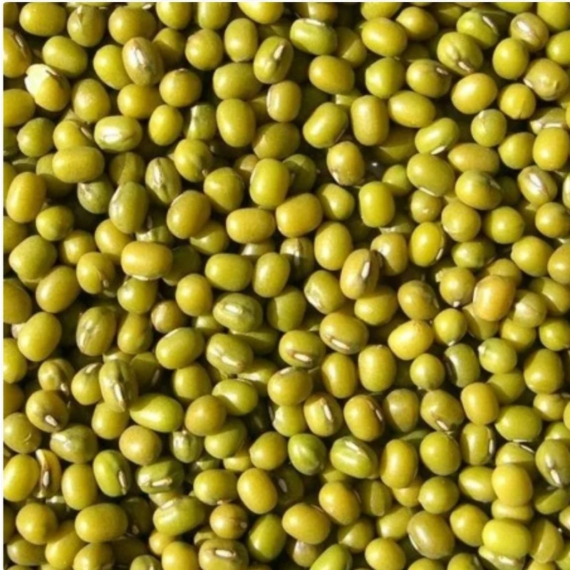 Katjang Idjoe (semillas germinadas - frijoles mungo verdes) 1 kg