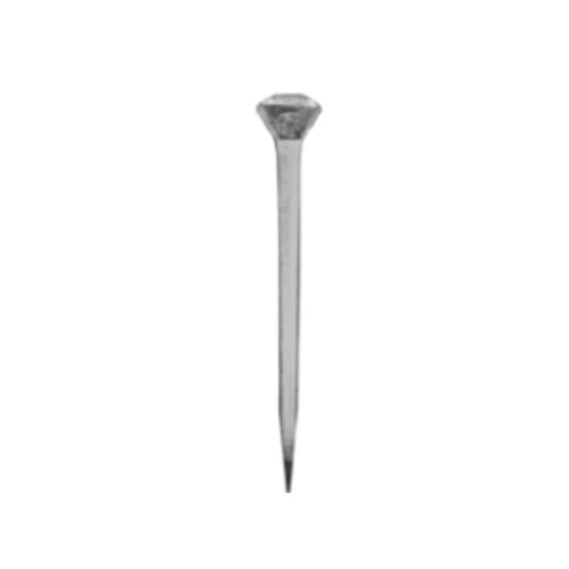 Clavo Para Herrar Derby Ch5 Sl X 150 Und