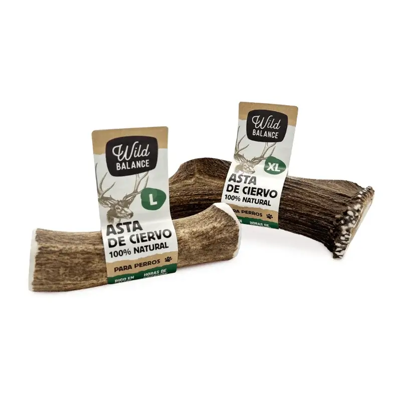 Wild Balance Asta de Ciervo M Entera Mordedor Natural para Perros
